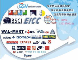 高效對接，精準(zhǔn)匹配——專業(yè)商務(wù)信息咨詢服務(wù)采購指南