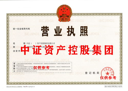 商務信息咨詢 企業(yè)決策的導航與智慧引擎