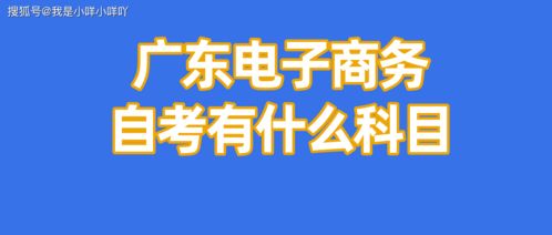 自考電子商務專業(yè) 解鎖商務信息咨詢的核心能力