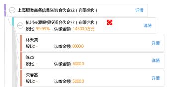 上海順漾商務(wù)信息咨詢合伙企業(yè)（有限合伙）的專業(yè)服務(wù)與市場(chǎng)價(jià)值探析